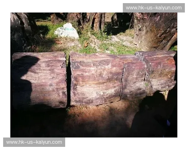 绿茵之上的重生：当巴塞罗那遇见沙佩科人，一场超越胜负的灵魂洗礼